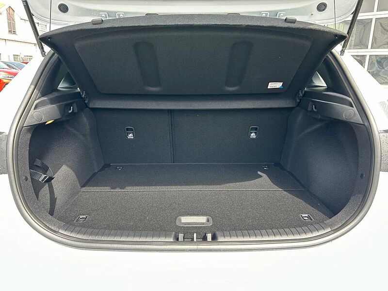 Kia Ceed Vision 1.5 T-GDI DCT7 +SHZ+RFK