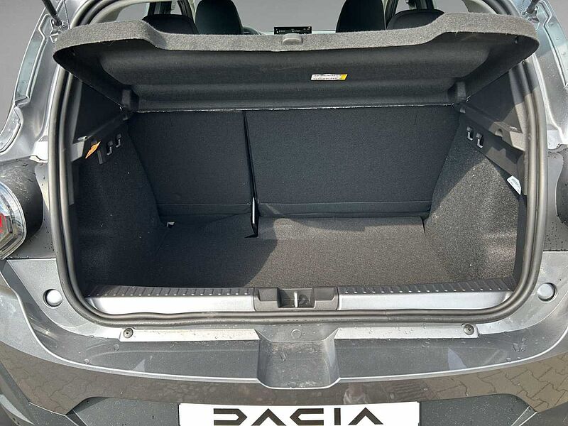 Dacia Sandero Stepway Expression TCe 110 +SHZ